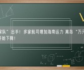 “国家队”出手！多家航司增加海南运力 离岛“万元机票”价格开始下降！