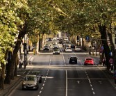 12.43亿人次！十一假期出行人数再创记录！