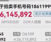 尾号6个9手机号拍出2614万天价 起拍价仅100元！