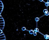最新研究：3D打印新材料可与人体免疫系统兼容 !