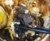 太恶心了！高校食堂疑吃出鼠头 店家曾称是牛肉！