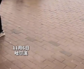 嫉妒使我无法呼吸！东北大学生正式确诊为华妃