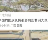 中国人国庆放假 东非大草原都堵车了 网友：聚是一栋楼 散是满地球！