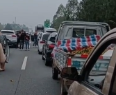高速遇堵车小货车用喇叭喊卖沃柑：1个半小时卖半车！