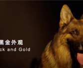 简单高效！只有中国人才能看懂的散装英文 网友直呼越看越上头！