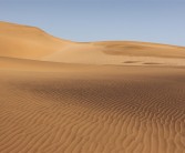 甘肃敦煌上演“堵骆驼” 网友：告诉王维 西出阳关全是人！