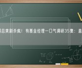 中国霸总爽剧杀疯！有基金经理一口气调研35集：直言真上头！