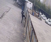男子科二没过踹门打狗砸围栏泄愤 教练：小考没必要破防！