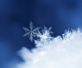 暴雪大暴雪要来了 多大的雪才算暴雪 !