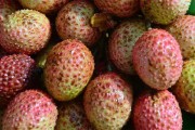 过量食用荔枝或引发“荔枝病”：严重时可导致昏迷!