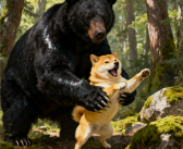 日本熊开始进化了：被枪打中后装死 待猎人查看时攻击 ！