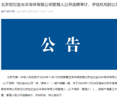 成立14年、负债超5亿元：知名半导体企业世纪金光破产清算！