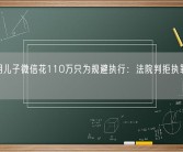 男子用儿子微信花110万只为规避执行：法院判拒执罪 获刑半年！