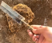 男子挖出战国青铜剑文物 上交博物馆后获奖200元 ！