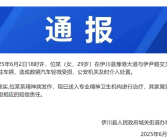 29岁女子当街打砸多车 官方通报：系精神病发作!
