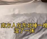 砂糖橘东北睡1宿变果脯 直接热到崩溃！