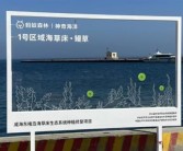 你们种在海底的“蚂蚁森林” 捞出海参了！