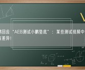 何小鹏回应“AEB测试小鹏垫底”：某些测试视频中评比策略存在差异！