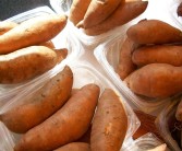 双11你买的食品安全吗 抽检结果公布：红薯粉条等掺杂掺假 !