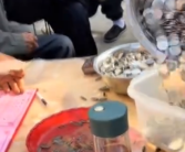 8人端3600个硬币给结婚好友随份子 给记账的大爷大妈们吓着了！