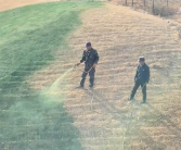 陕西一地给枯草喷颜料 当地回应：为美观调配的营养液 ！