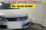 男子网购邻居同号车牌逃费200多元 结果亏大了：罚款2千扣12分！