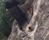 女子穿7厘米高跟鞋“像岩羊一样”爬山引热议 回应：常爬此山 光脚下山！