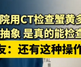 蟹黄多不多都用CT检查了！宠物医院回应：不是搞抽象 真能查出来 ！