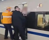 上海一女子阻挡高铁关门?假 突发身体不适被车门夹住！
