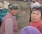 农民突发脑溢血 上百村民帮忙收玉米 网友:太暖心了！