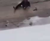 小伙江滩滑雪不慎掉入江中 水域较浅自行脱险！