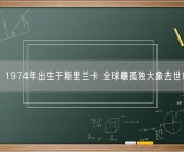1974年出生于斯里兰卡 全球最孤独大象去世！