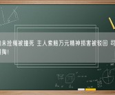 宠物狗未拴绳被撞死 主人索赔万元精神损害被驳回 司机一分钱不用掏！