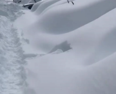 东北暴雪太夸张！黑龙江找车全靠挖、哈师大黑天鹅已被冻湖上两天！