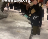 小孩哥夹雪熊哄大学生忙成流水线 网友：最清澈的两个群体相遇了！