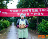 京东京喜自营：一年新增1.5亿用户 交易额暴涨10倍 !