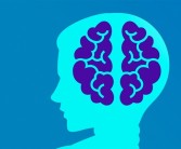 6岁女孩发烧17天 脑子被“啃”出了20多个洞 再拖就完全坏掉了 ！