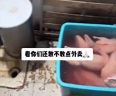 烤鸭店回应在厕所浸泡鸭子：空间有限偶尔放一下！