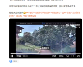 小鹏NGP智驾跑农村土路 网友：这实力华为都服!