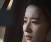 人人都爱玫瑰其实是假象 没有问过玫瑰的感受！