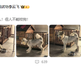 比亚迪李云飞连发两条微博：狗可以咬人但人不能咬狗 鬼吹灯！