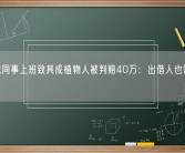 借车载同事上班致其成植物人被判赔40万：出借人也需赔30万！