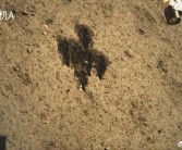 五星红旗在月背升起！嫦娥六号挖到月球土特产了：竟挖了一个中字！