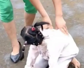 网红袖珍女孩疑遭母亲虐待 残联回应来了！