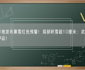 湖北多地发布暴雪红色预警！局部积雪超10厘米：武汉部分列车停运！