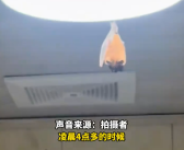 开饭了！网友家中惊现“大菊头蝠”：M码翅膀包不住XXL身体！