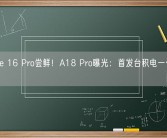 iPhone 16 Pro尝鲜！A18 Pro曝光：首发台积电一代3nm工艺！