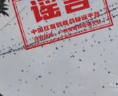 广西辟谣飞鸟盘旋是地震前兆：对断崖式的气温不适应所致！