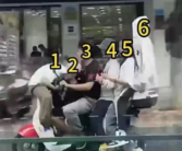 马路奇观：浙江6人骑一辆电动自行车 印度老哥直呼内行！