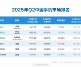 苹果快成Others！Q2中国手机市场排名：小米激活量第一 华为第四!